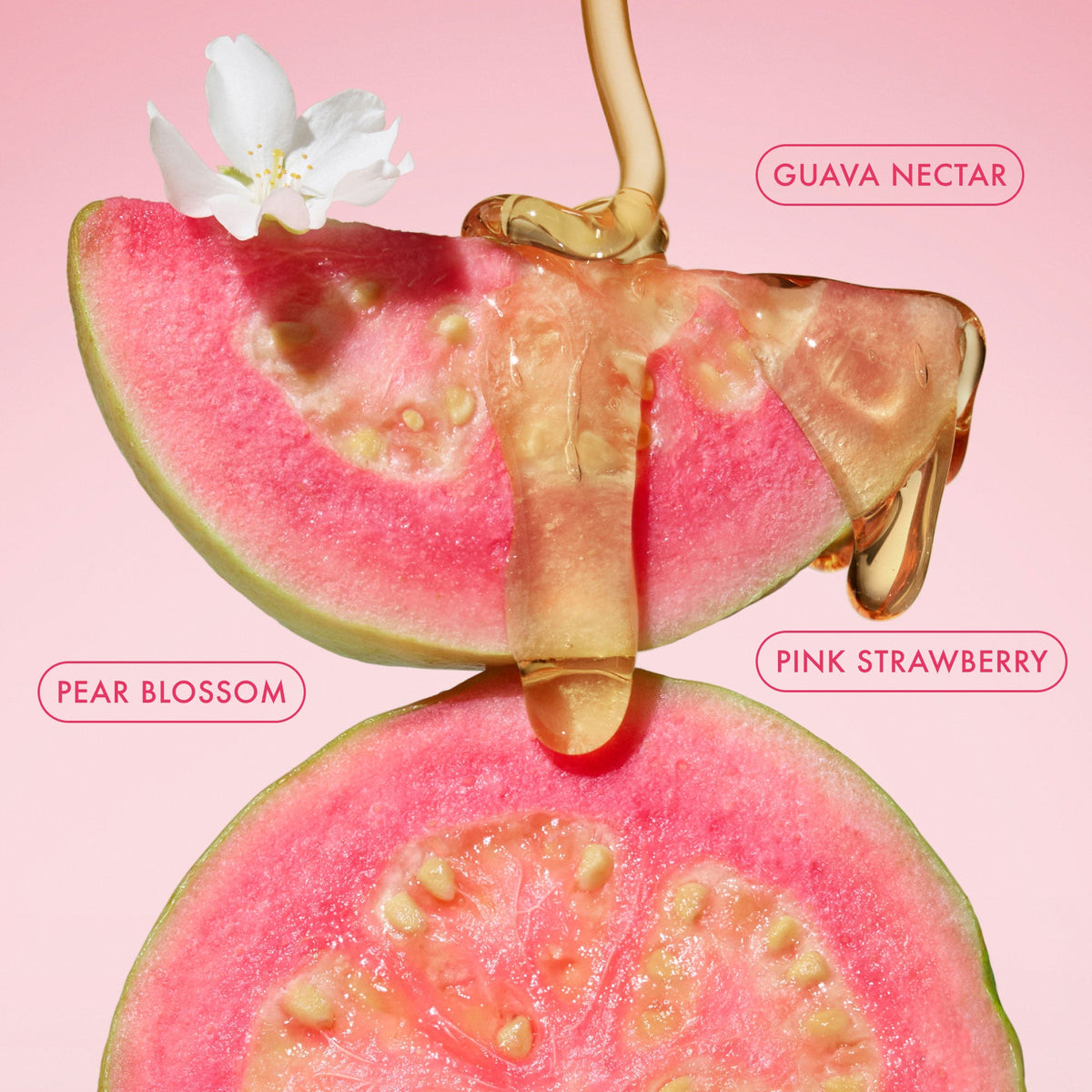 body-butter-balm-pink-guava-y5 BodyButterBalmPinkGuava_3.jpg
