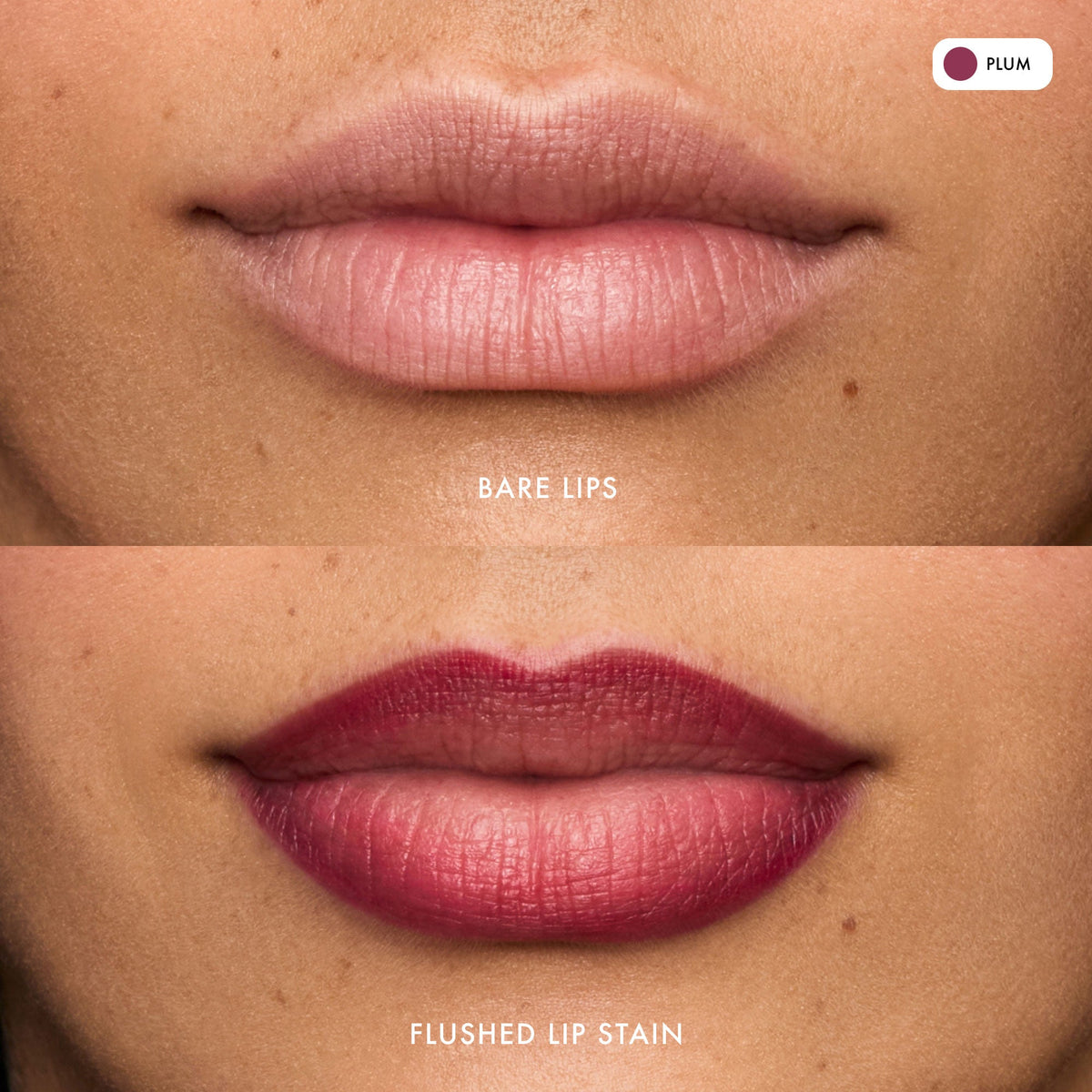 flushed-lip-stain-plum-w0 FlushedLipStain_Plum_B_A.jpg