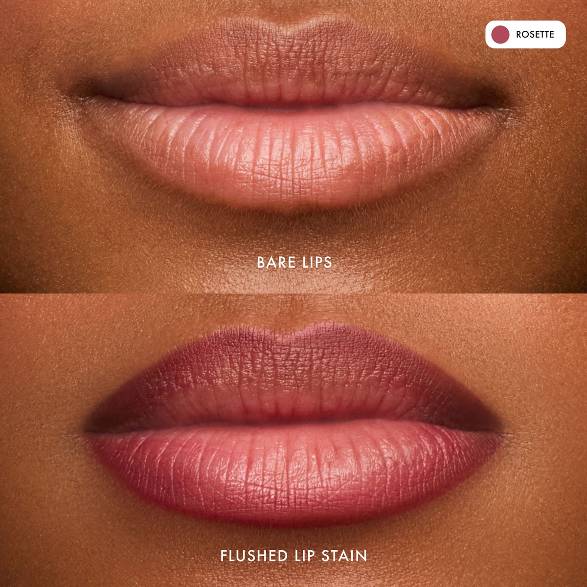 flushed-lip-stain-rosette-l4 FlushedLipStain_Rosette_B_A.jpg