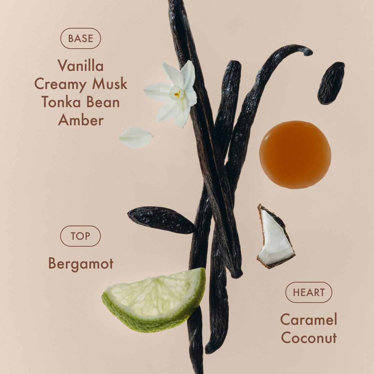 sunlit-vanillatm-eau-de-parfum-v4 SunlitVanilla_4.jpg